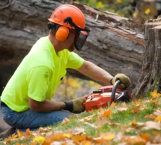 tree services St. Peter